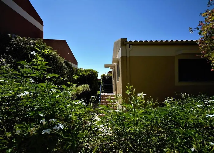 Wiola's * 巴尔巴蒂