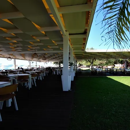 Wiola's